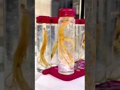 인스턴트 새집 음료